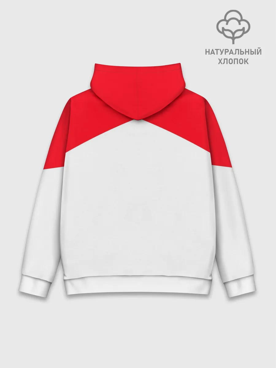 Худи мужской база хлопок / Учёба-Химия