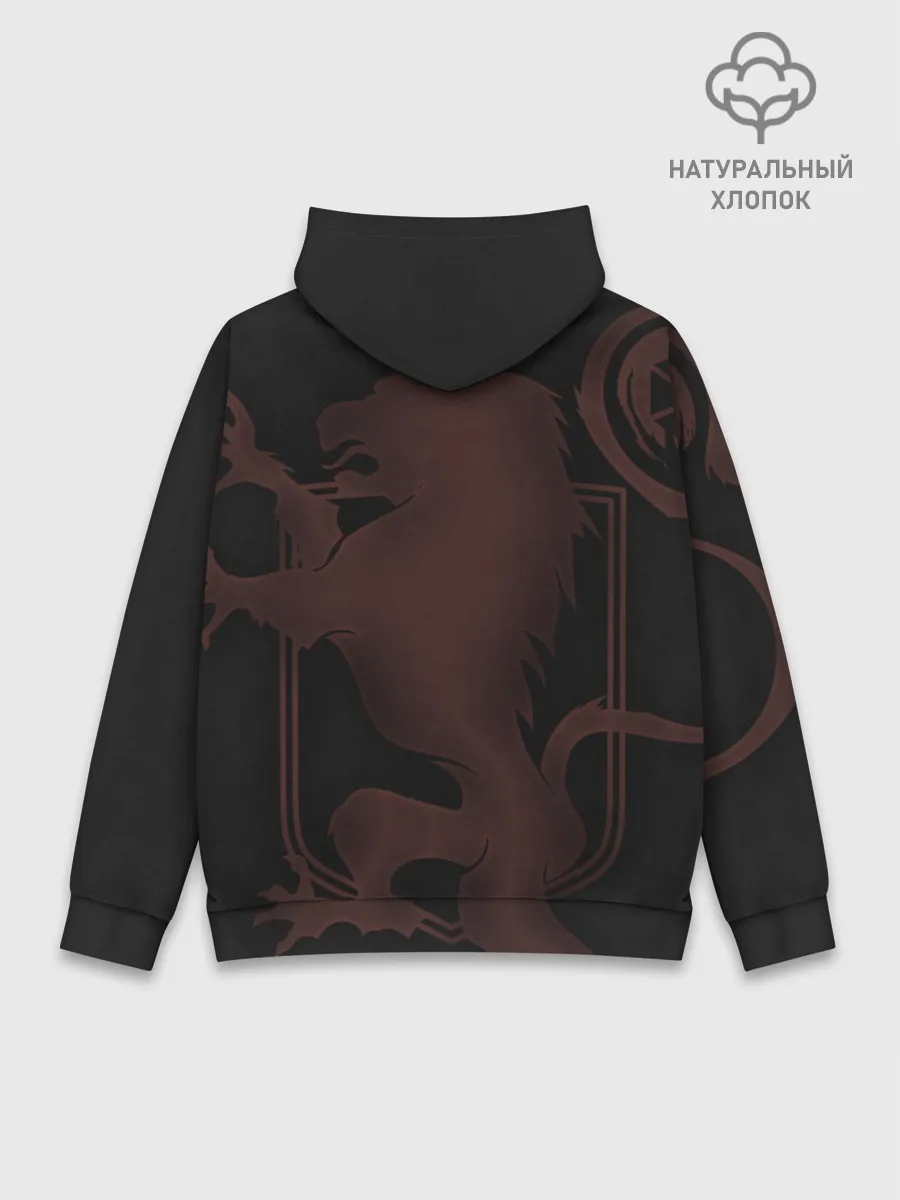 Худи мужской база хлопок / DESTINY, TITAN