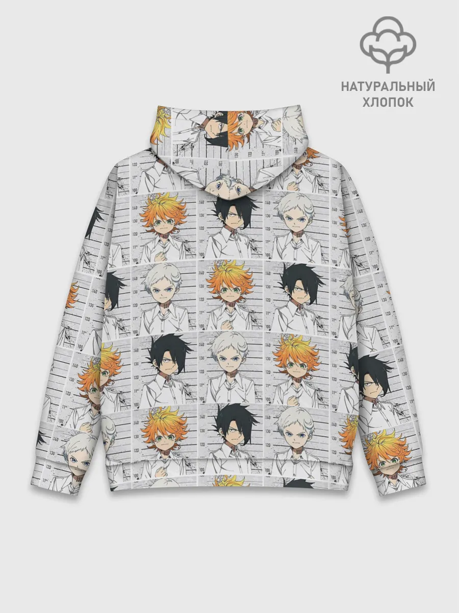 Худи мужской база хлопок / Обещанный Неверленд