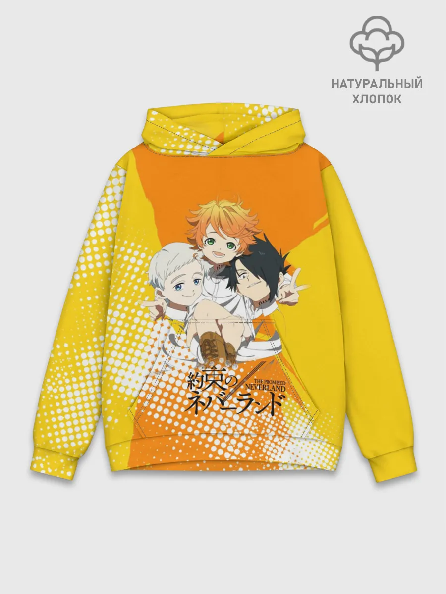 Худи мужской база хлопок / Обещанный Неверленд