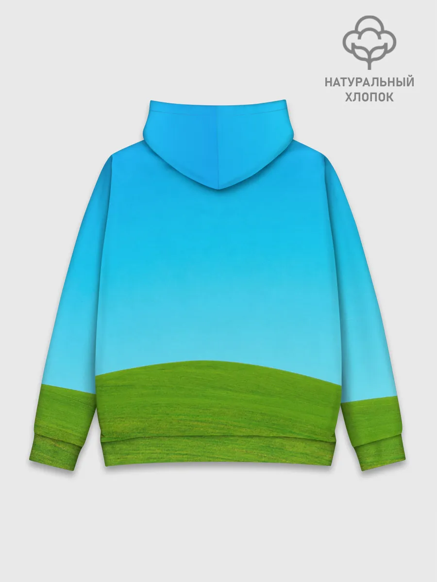 Худи мужской база хлопок / Windows XP