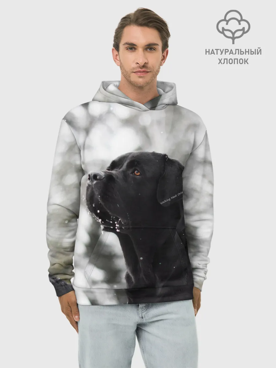 Худи мужской база хлопок / Лабрадор Марк