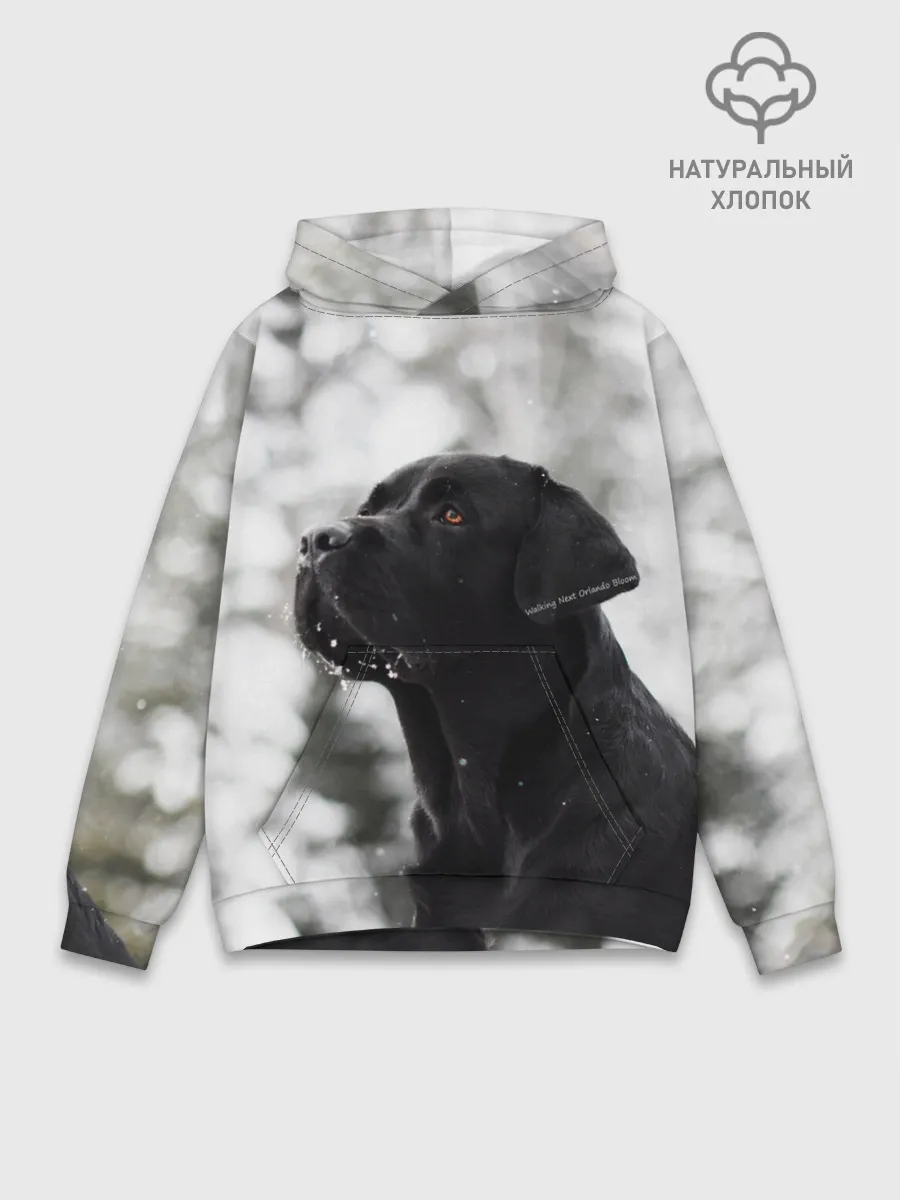 Худи мужской база хлопок / Лабрадор Марк