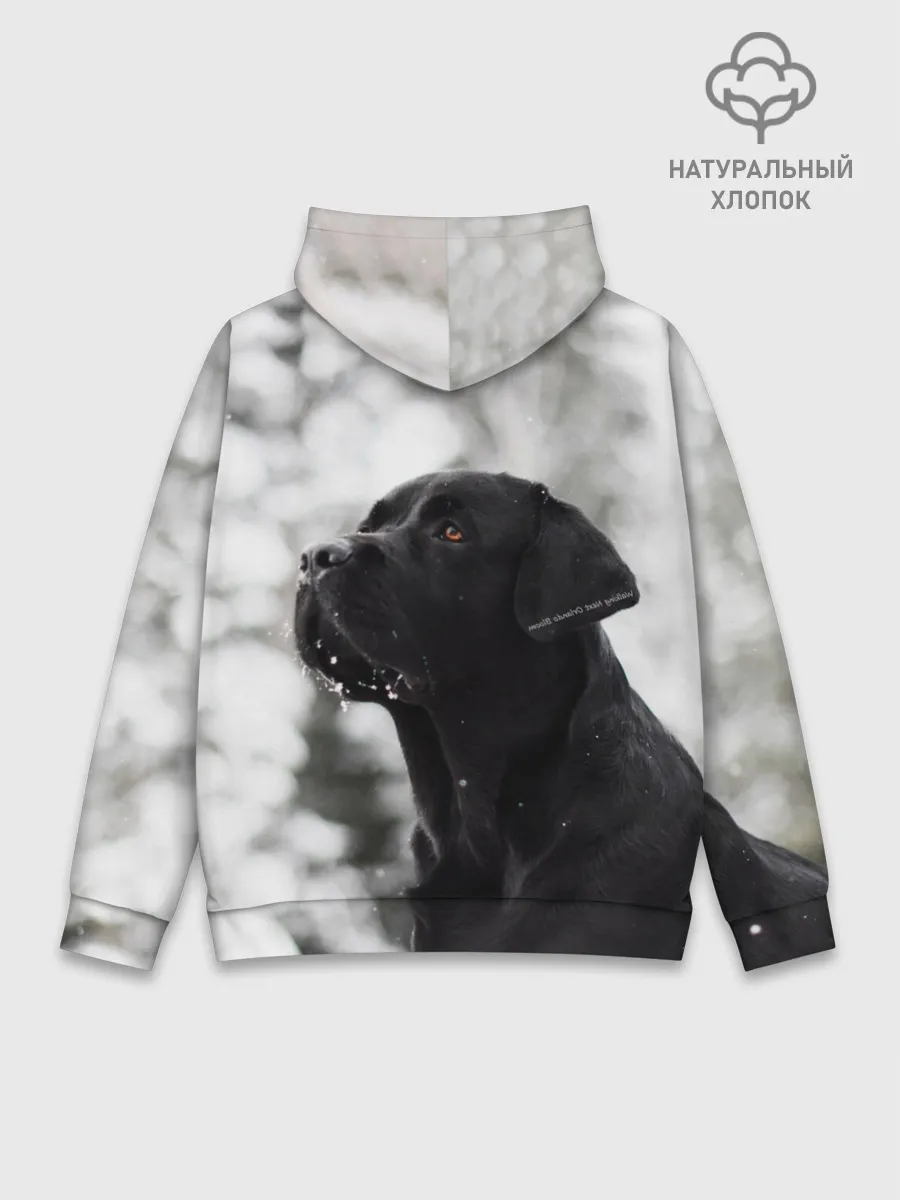 Худи мужской база хлопок / Лабрадор Марк