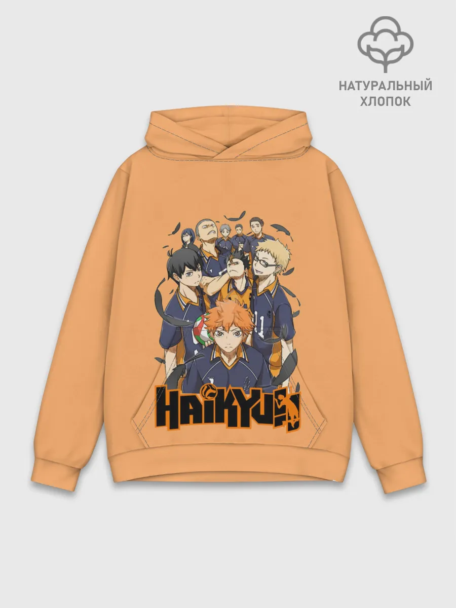 Худи мужской база хлопок / Аниме Волейбол