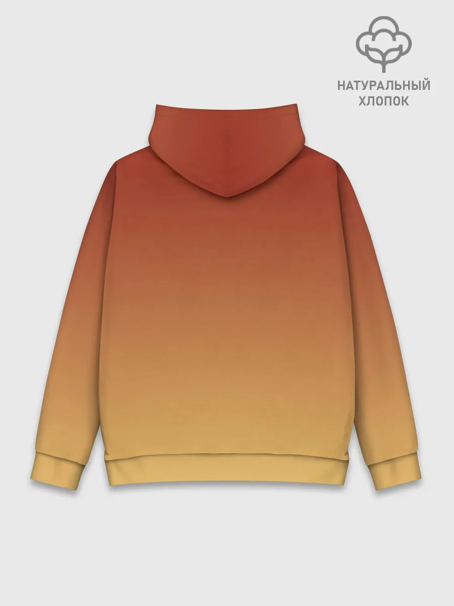 Худи мужской база хлопок / Разочарование