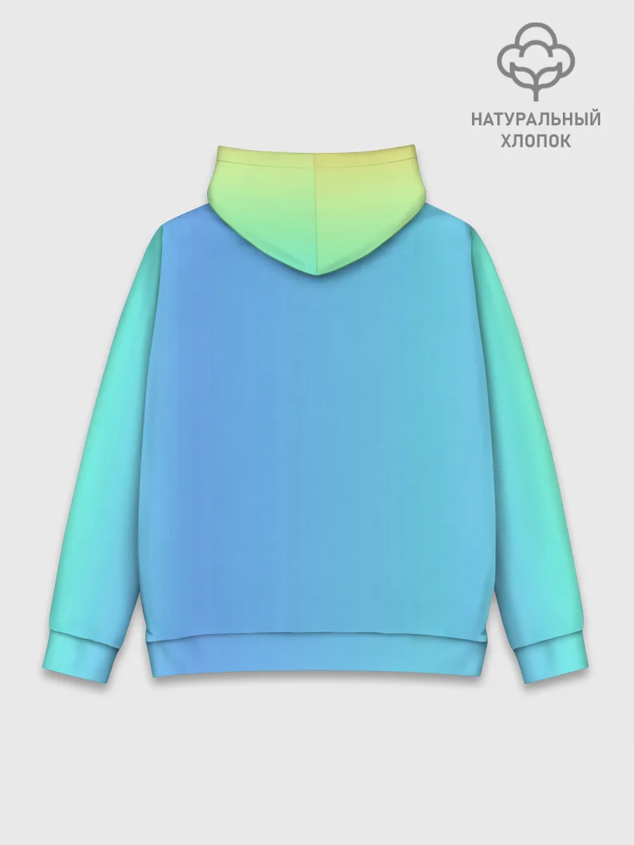 Худи мужской база хлопок / Aqua Among As