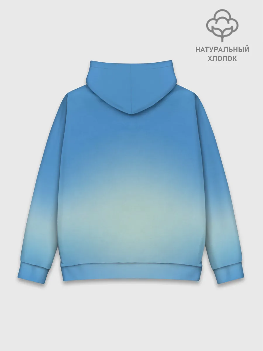 Худи мужской база хлопок / ВВС
