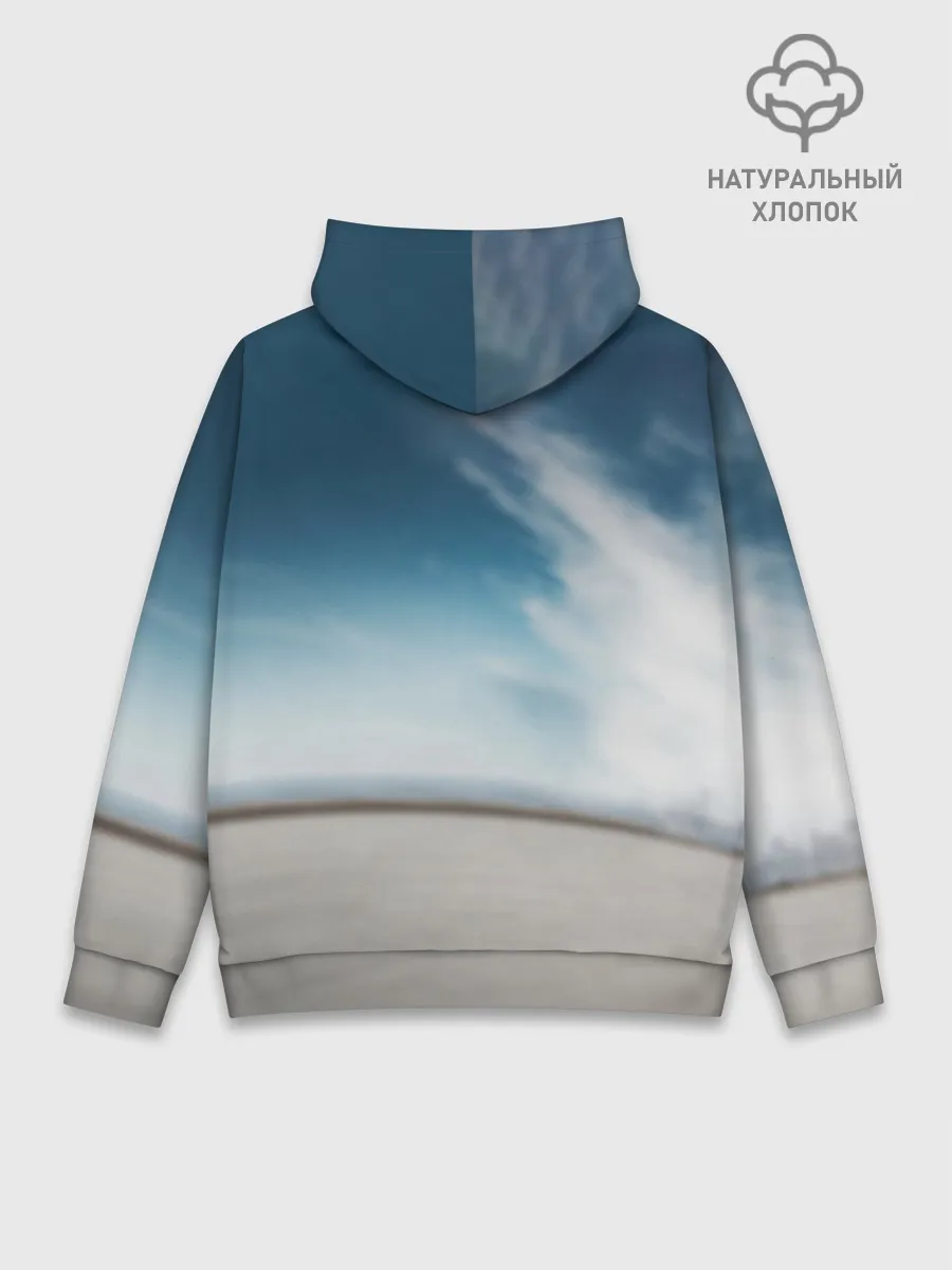 Худи мужской база хлопок / Tesla Model 3