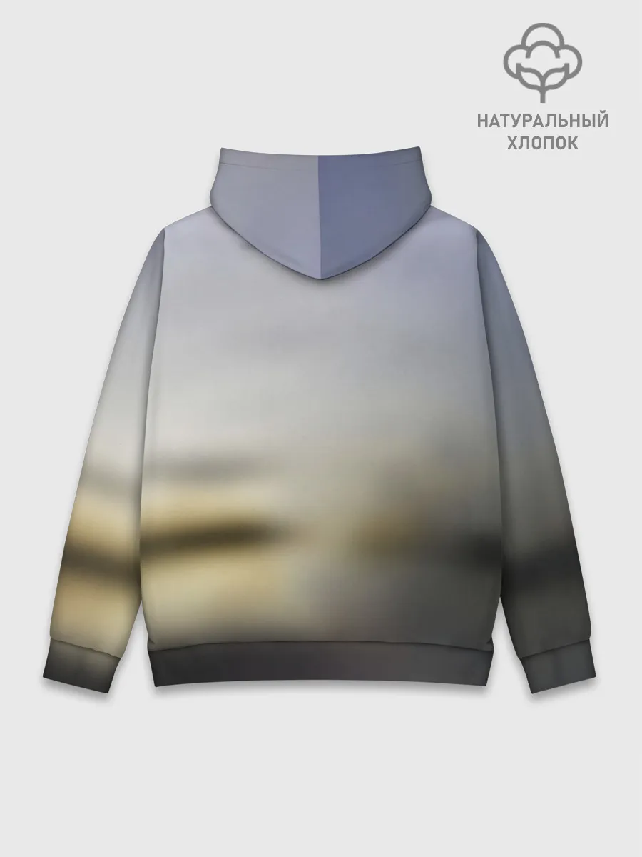 Худи мужской база хлопок / Tesla Roadster