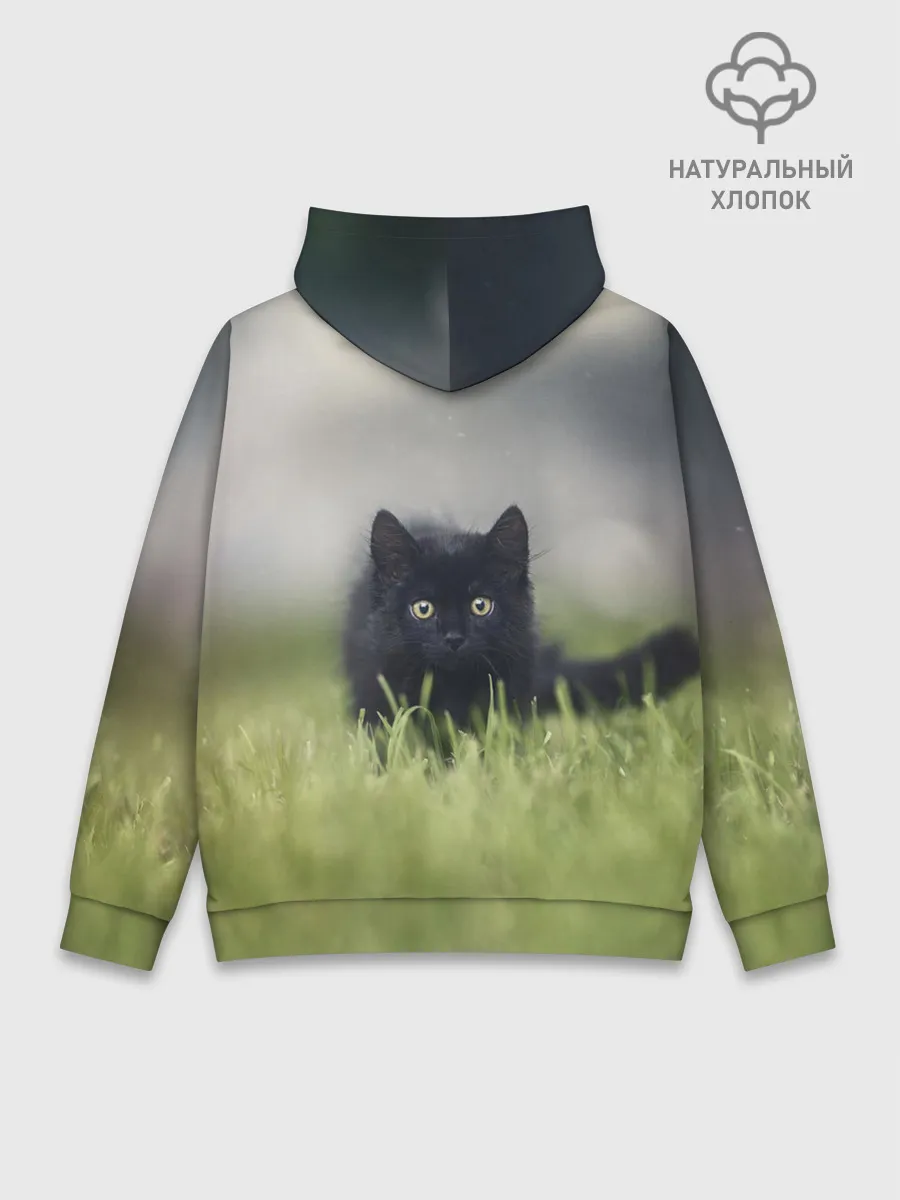 Худи мужской база хлопок / черный кот на лугу