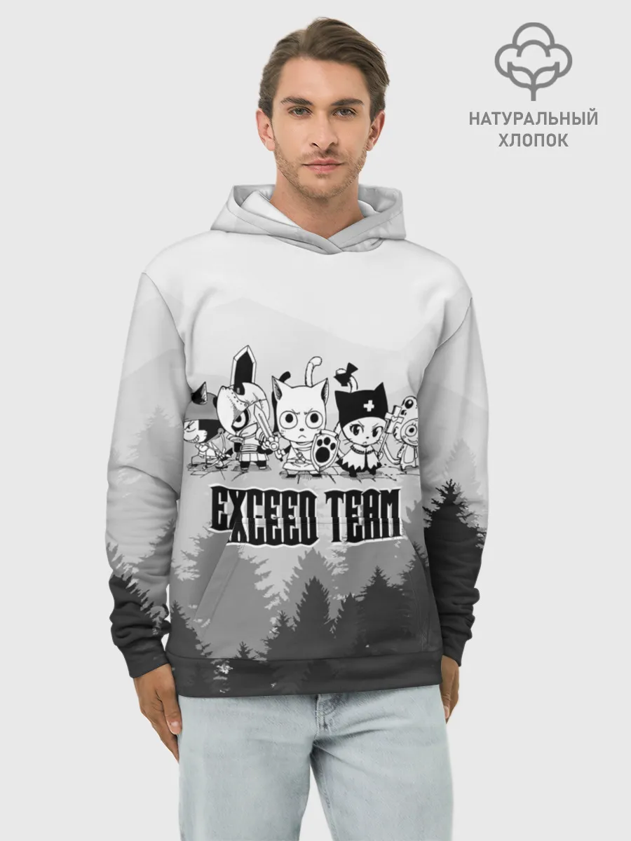 Худи мужской база хлопок / Exceed Team