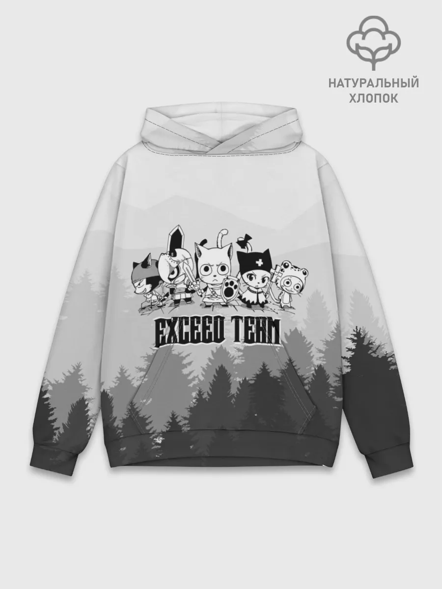 Худи мужской база хлопок / Exceed Team