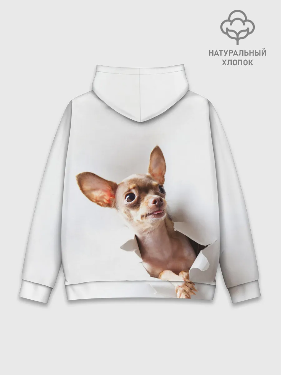 Худи мужской база хлопок / Чихуахуа из бумаги вылазит