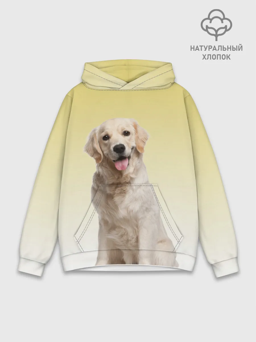 Худи мужской база хлопок / Лабрадор ретривер пес