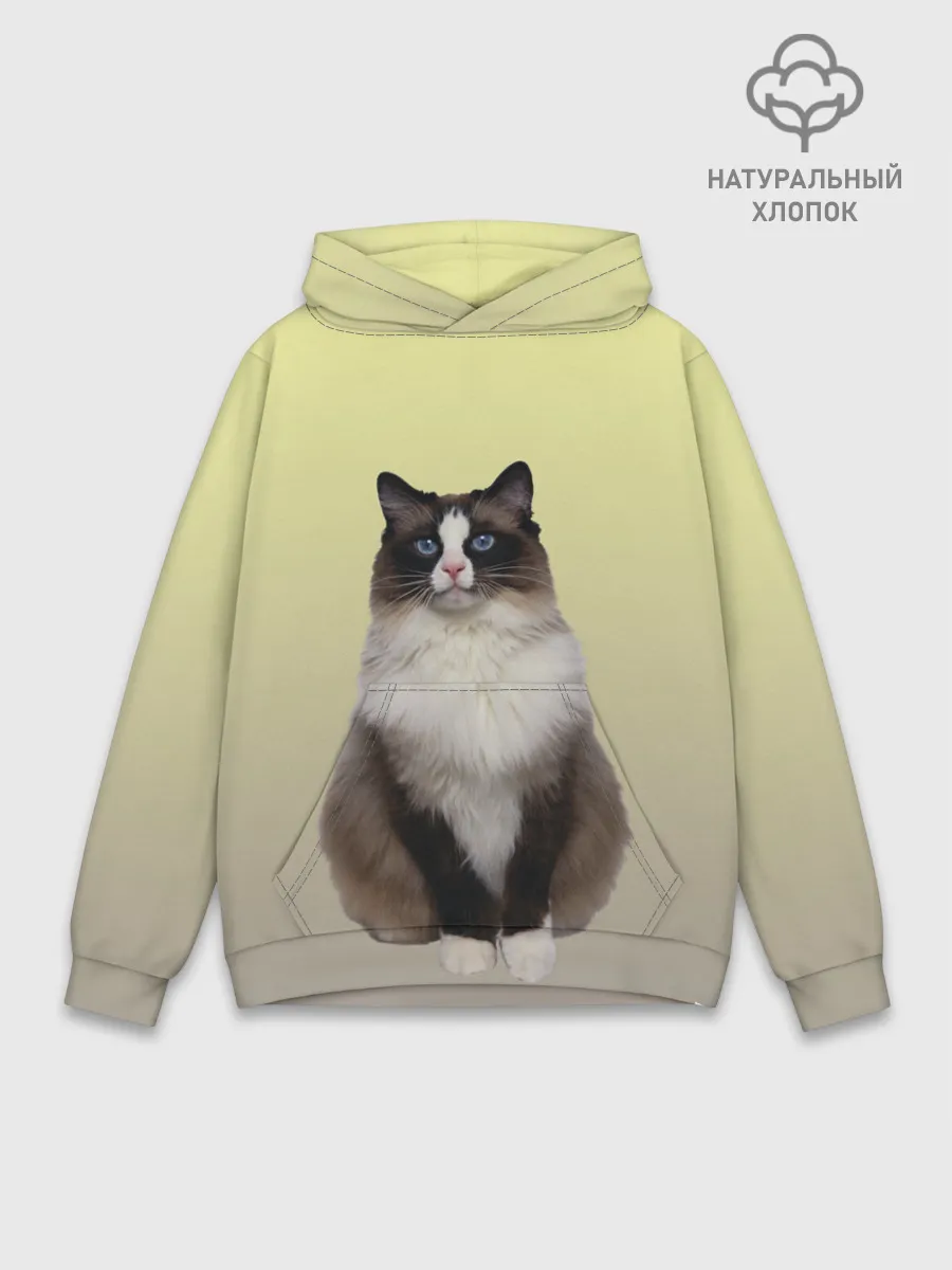 Худи мужской база хлопок / персидская пушистая кошка