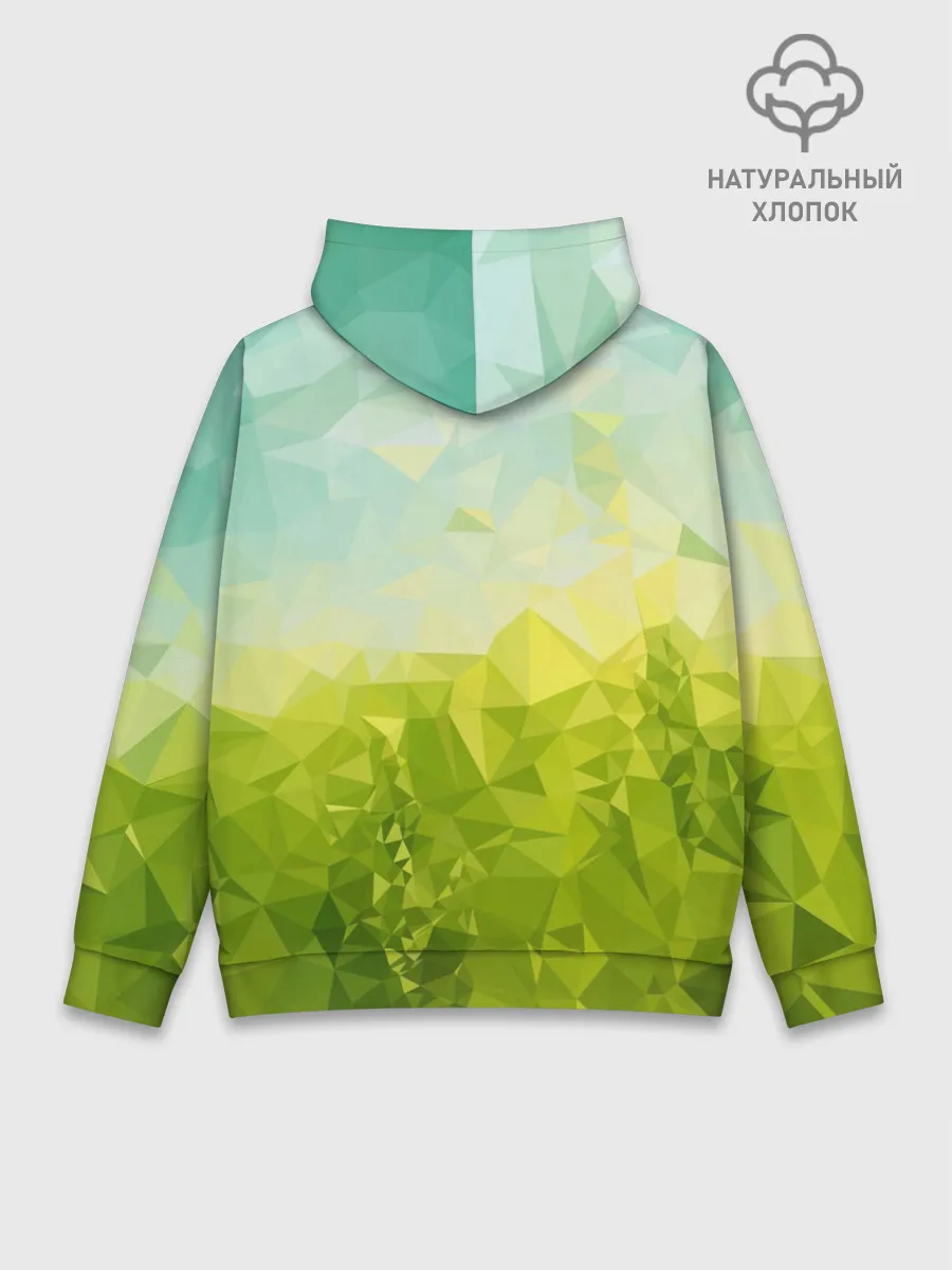 Худи мужской база хлопок / Природная Абстракция