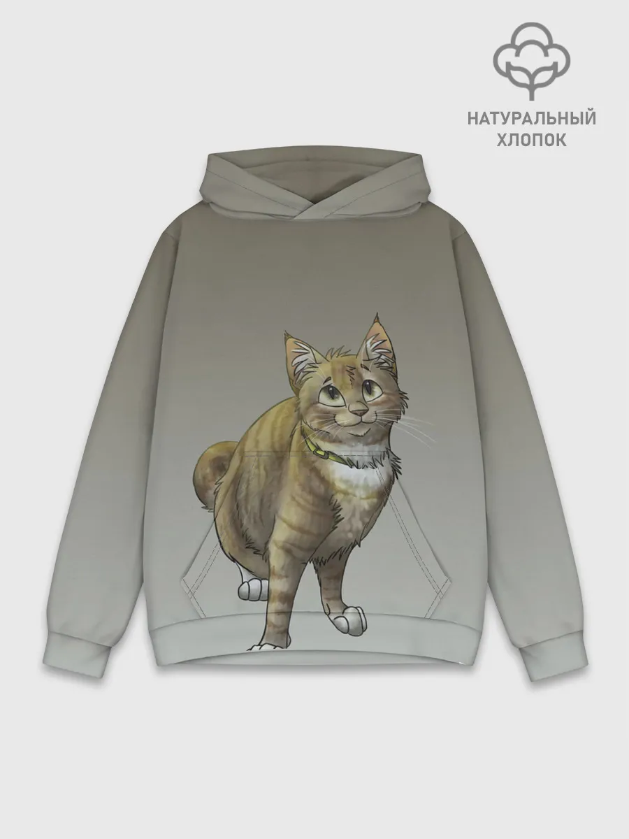 Худи мужской база хлопок / полосатый уличный кот