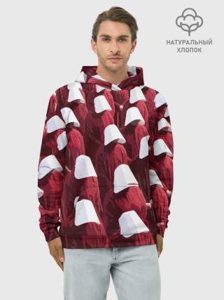 Худи мужской база хлопок / Рассказ Служанки