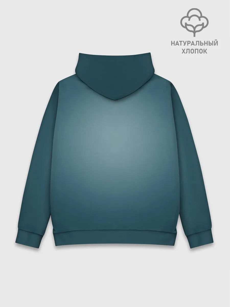 Худи мужской база хлопок / Viking