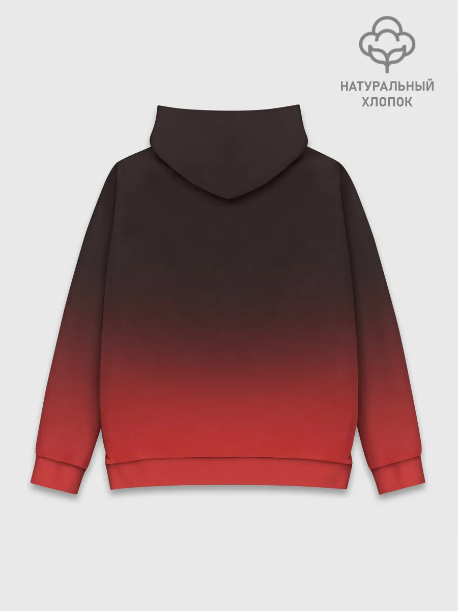 Худи мужской база хлопок / Asuka Eva-02