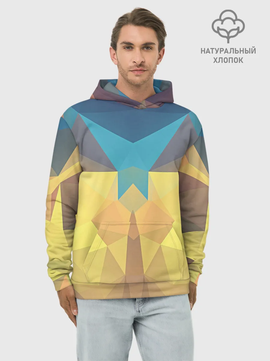 Худи мужской база хлопок / Абстрактная Геометрия