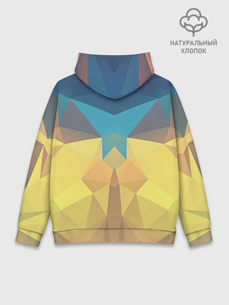 Худи мужской база хлопок / Абстрактная Геометрия