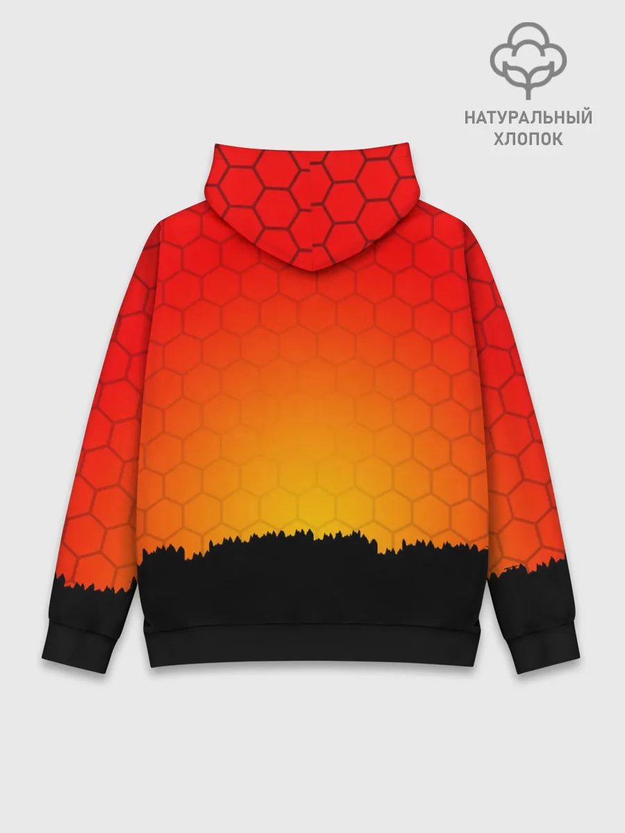 Худи мужской база хлопок / DAYZ