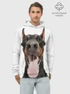 Худи мужской база хлопок / Доберман / Doberman