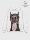 Худи мужской база хлопок / Доберман / Doberman