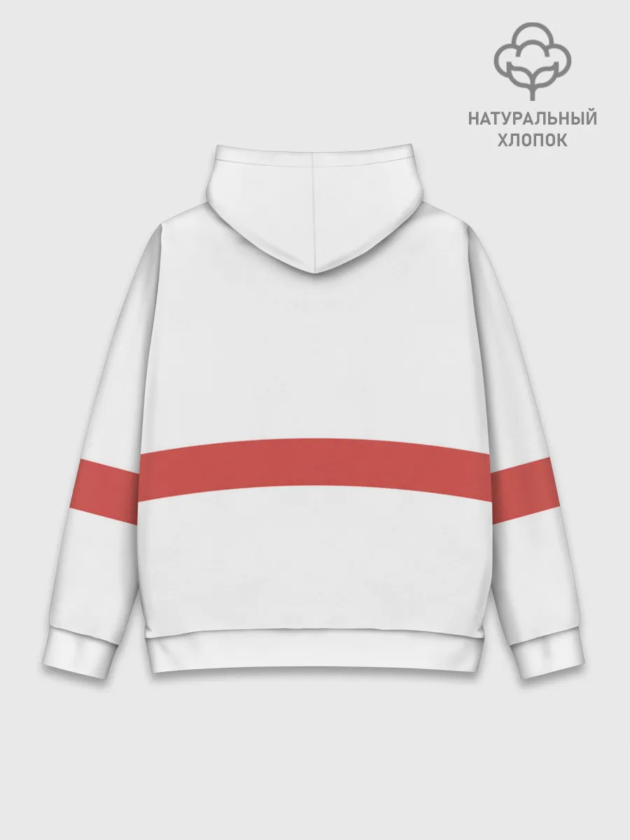 Худи мужской база хлопок / Дота