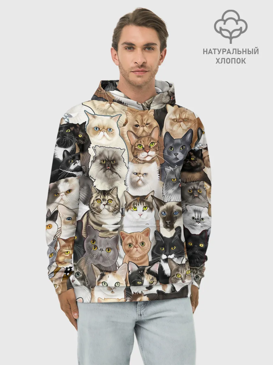 Худи мужской база хлопок / Котики смешные