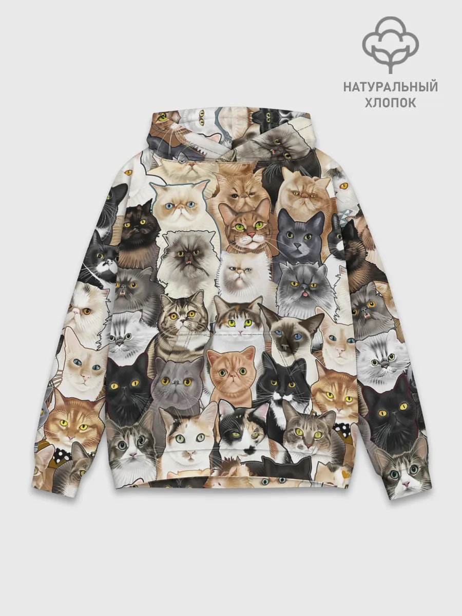 Худи мужской база хлопок / Котики смешные