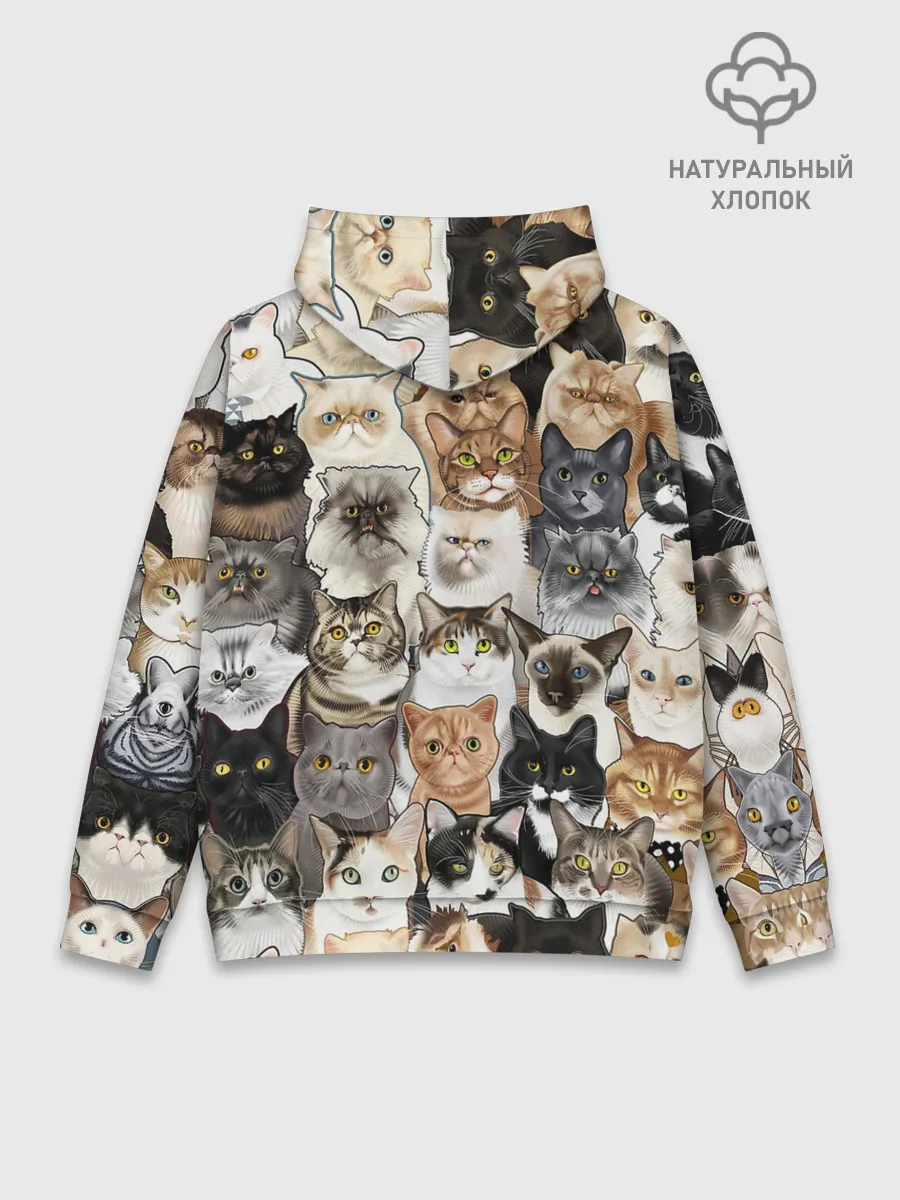 Худи мужской база хлопок / Котики смешные