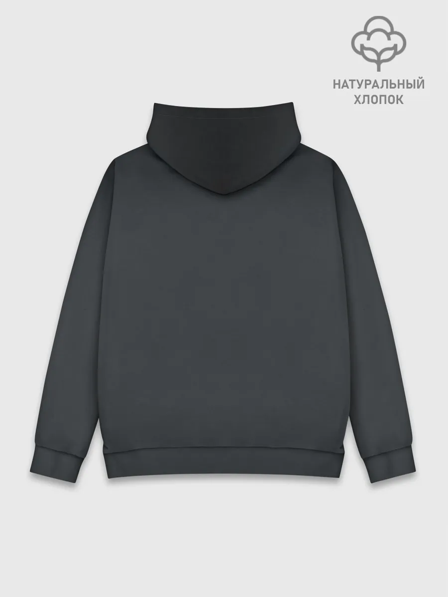 Худи мужской база хлопок / Voultboy