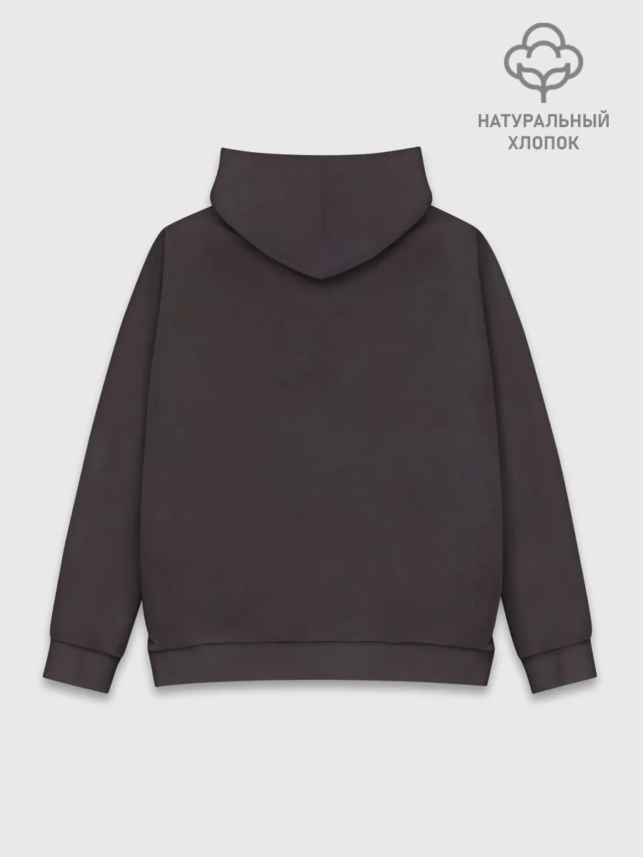 Худи мужской база хлопок / Fallout New Vegas