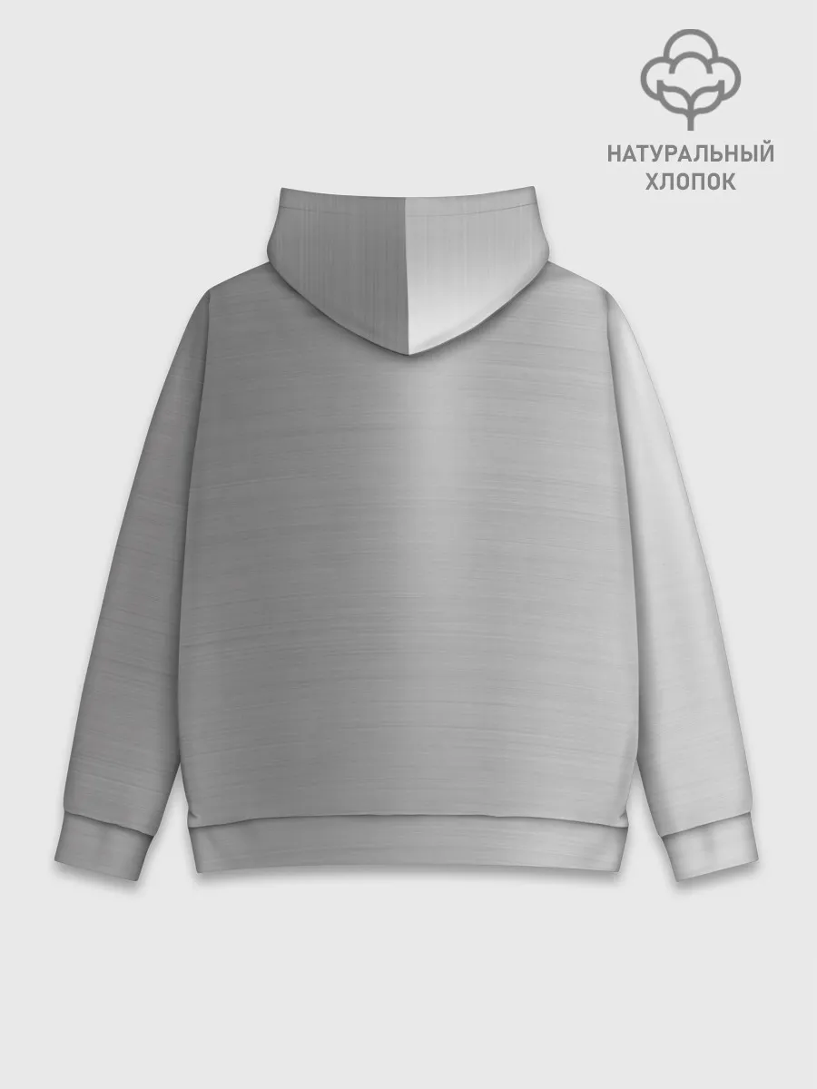 Худи мужской база хлопок / Renault | Сталь