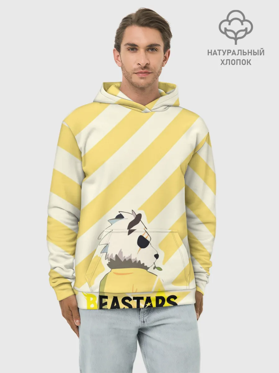 Худи мужской база хлопок / Гоухин beastars