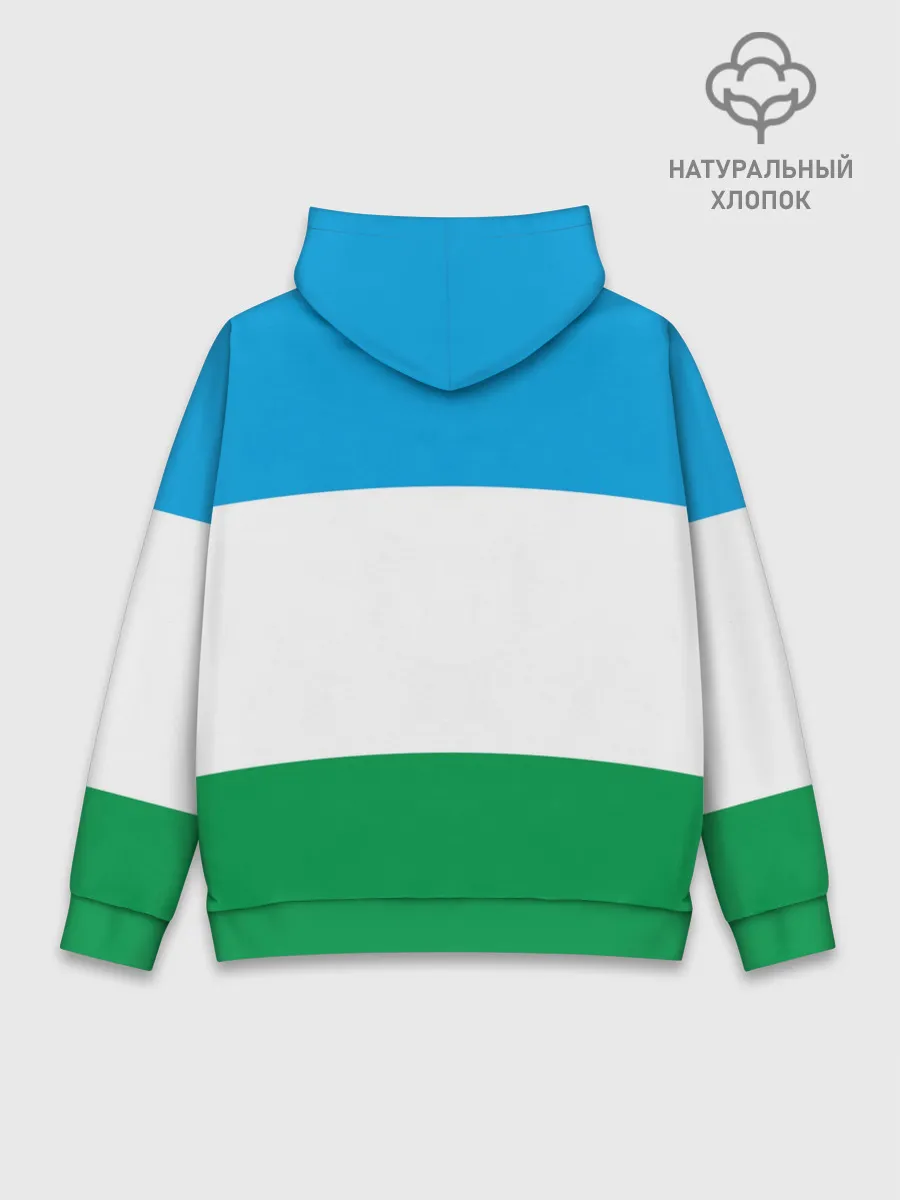 Худи мужской база хлопок / Башкортостан
