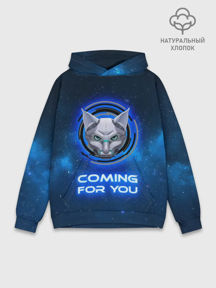 Худи мужской база хлопок / Иду за тобой