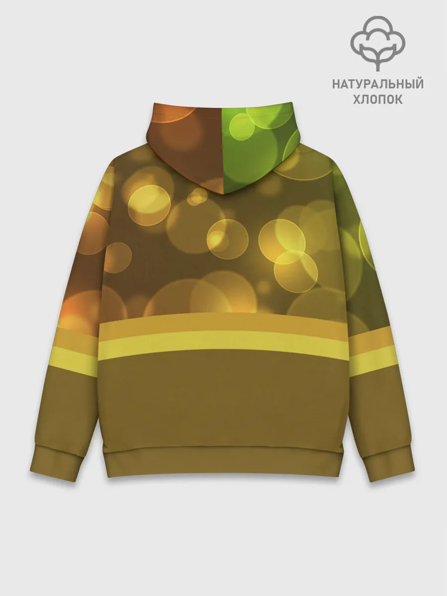 Худи мужской база хлопок / Блики
