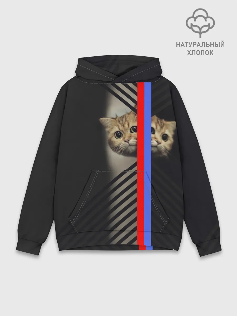 Худи мужской база хлопок / Кот