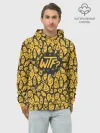 Худи мужской база хлопок / WTF