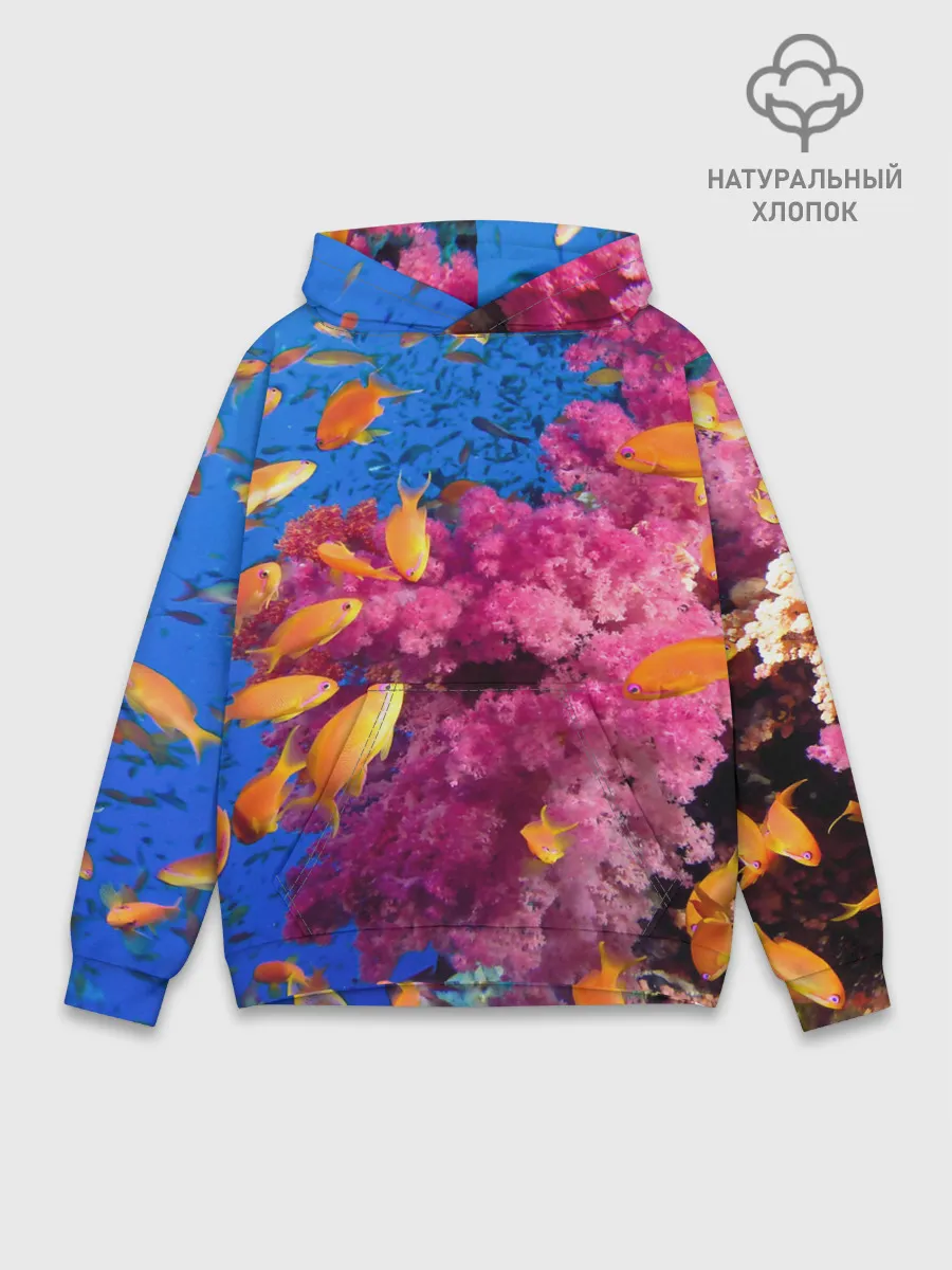 Худи мужской база хлопок / Коралловые рыбки