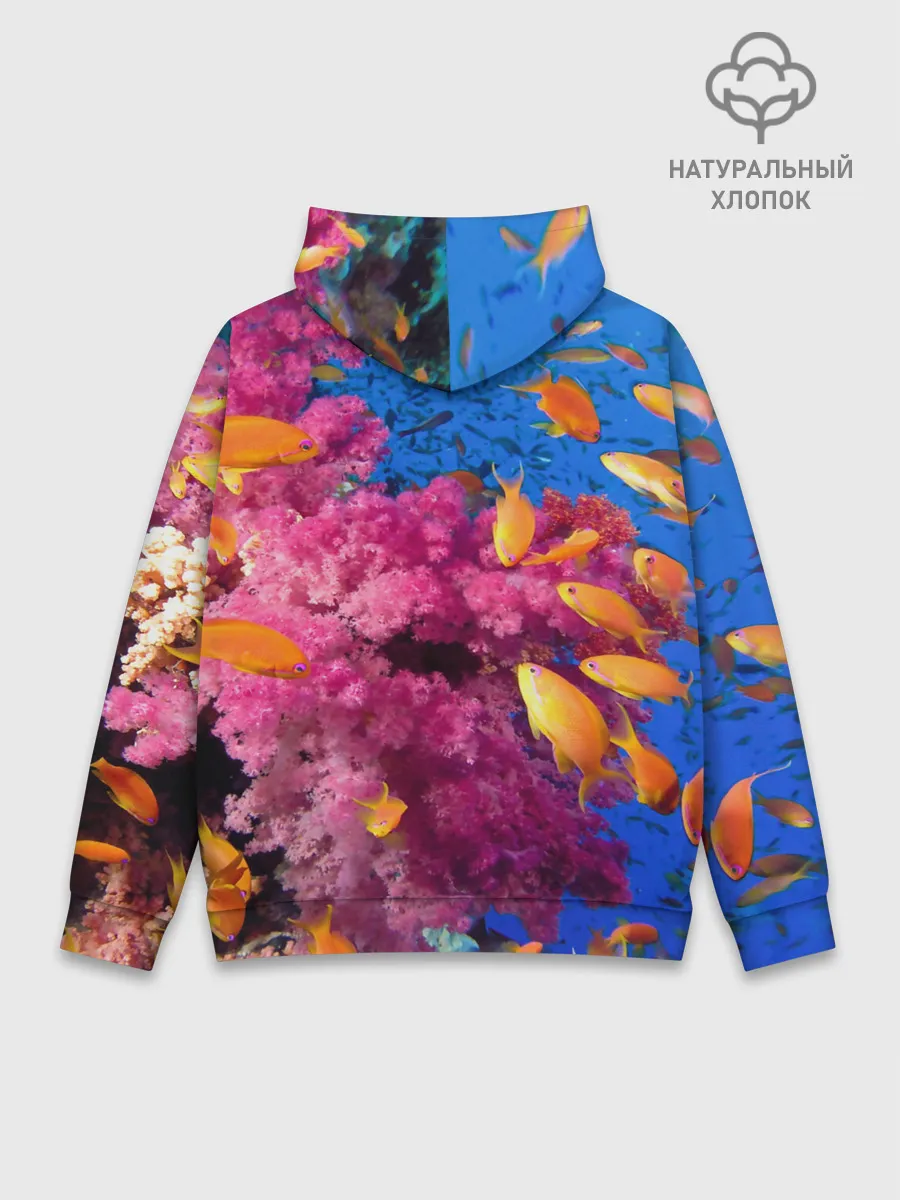 Худи мужской база хлопок / Коралловые рыбки