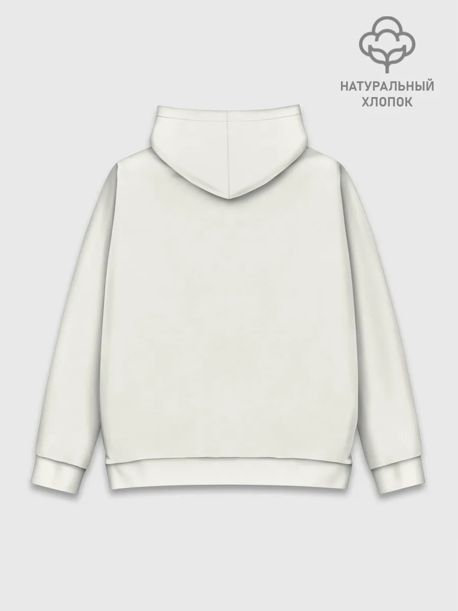 Худи мужской база хлопок / The last airbender