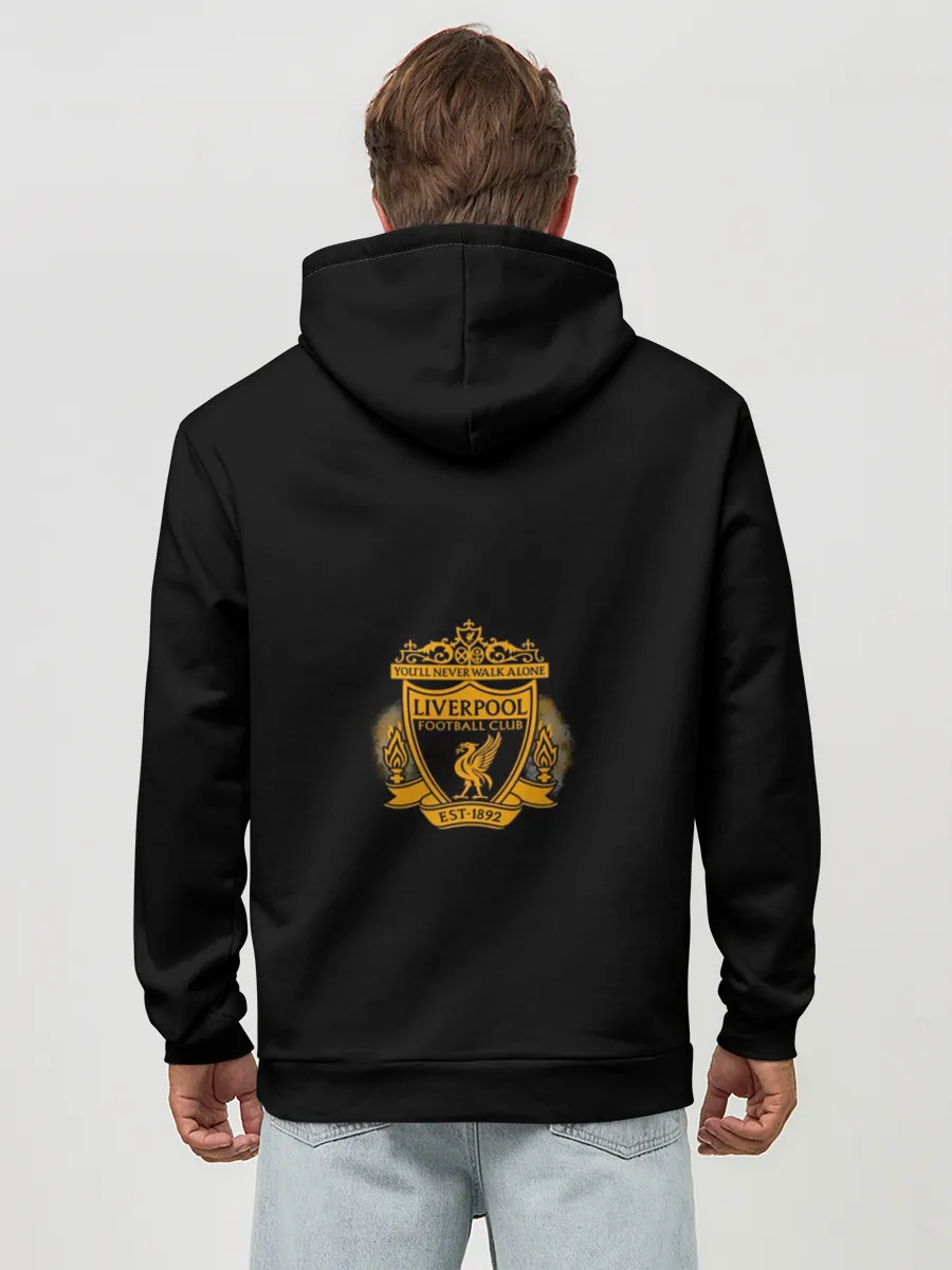 Худи мужской база хлопок / Диогу Жота