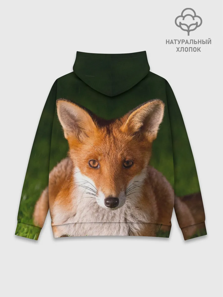 Худи мужской база хлопок / Лисица