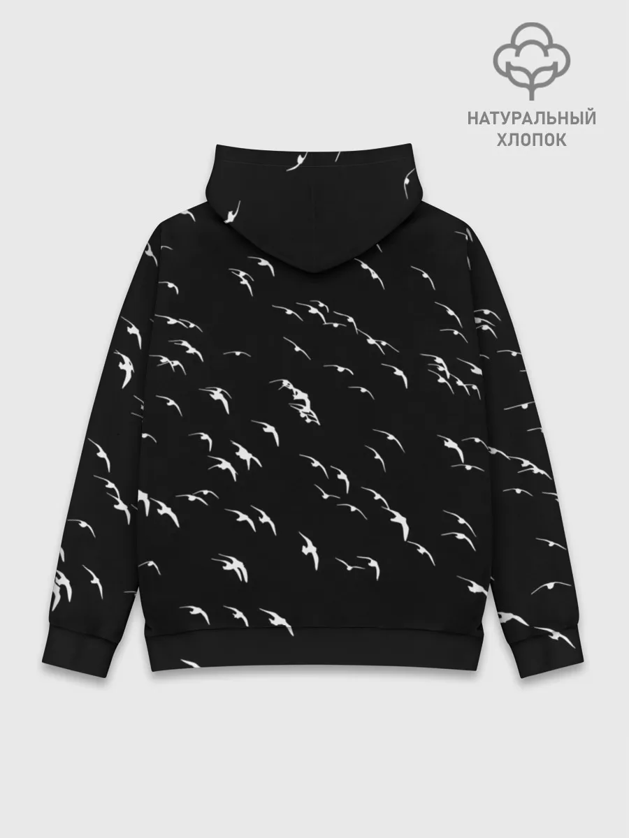 Худи мужской база хлопок / Череп Индейца Перья