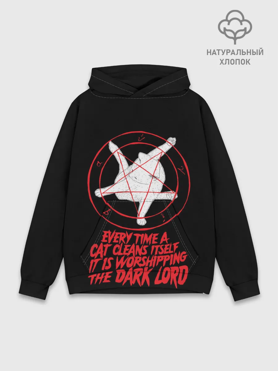 Худи мужской база хлопок / КОТ САТАНЫ